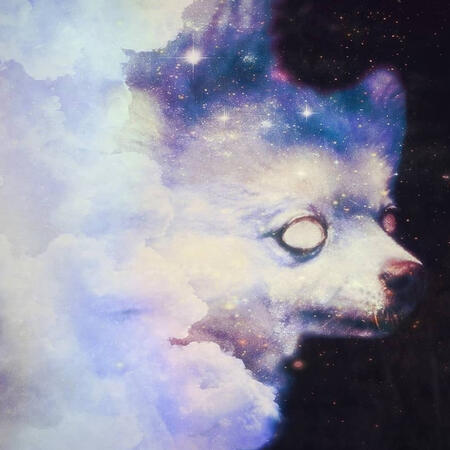 Cloudhound: Picture edit of a dog’s head with blank eyes, in purple nebula hues, coming out of a cloud on a star field.